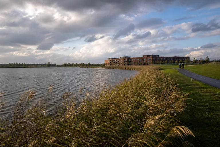 Nederlands waterlandschap met riet, fietspad en moderne baksteenarchitectuur